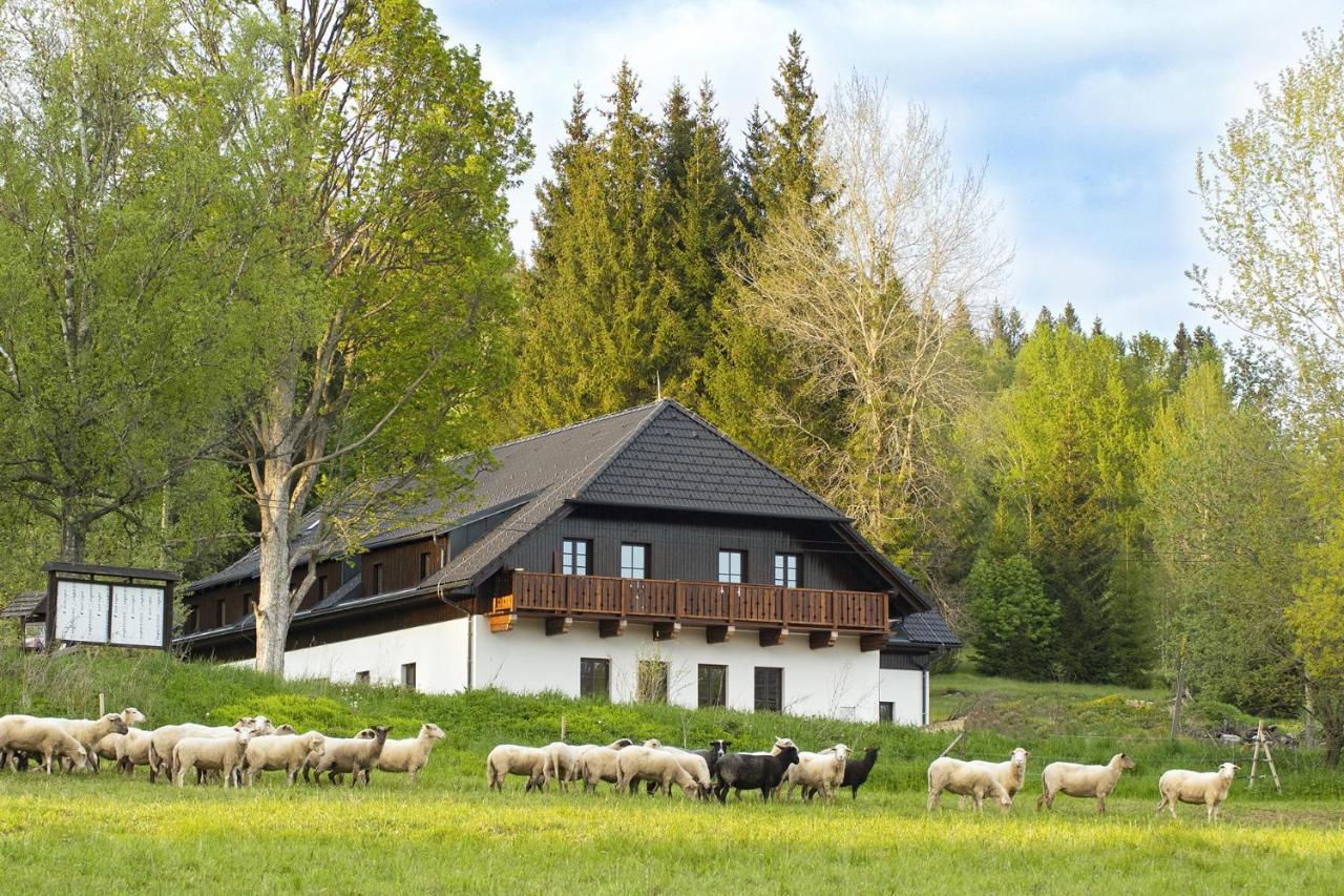 Dvur Liskovy Vrch Hotel Стражни Екстериор снимка