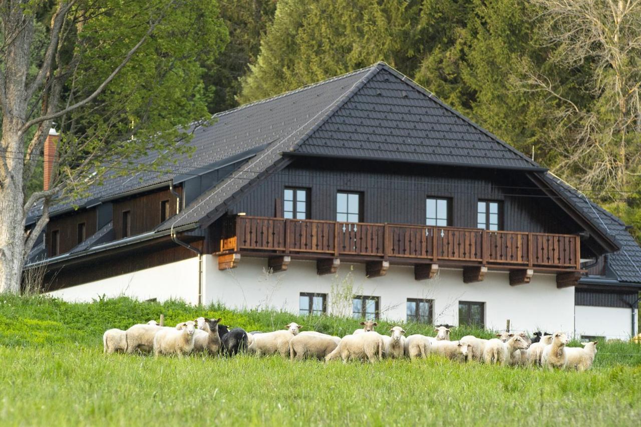 Dvur Liskovy Vrch Hotel Стражни Екстериор снимка